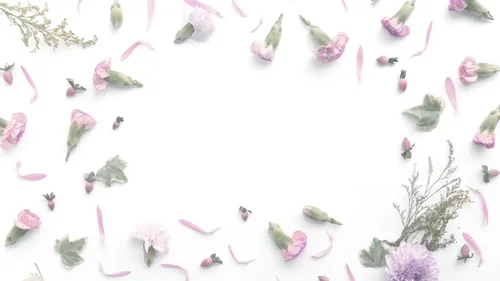 Cornice di fiori rosa su fondo chiaro